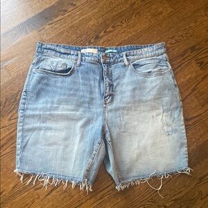 Anthropologie Light Blue Denim Shorts